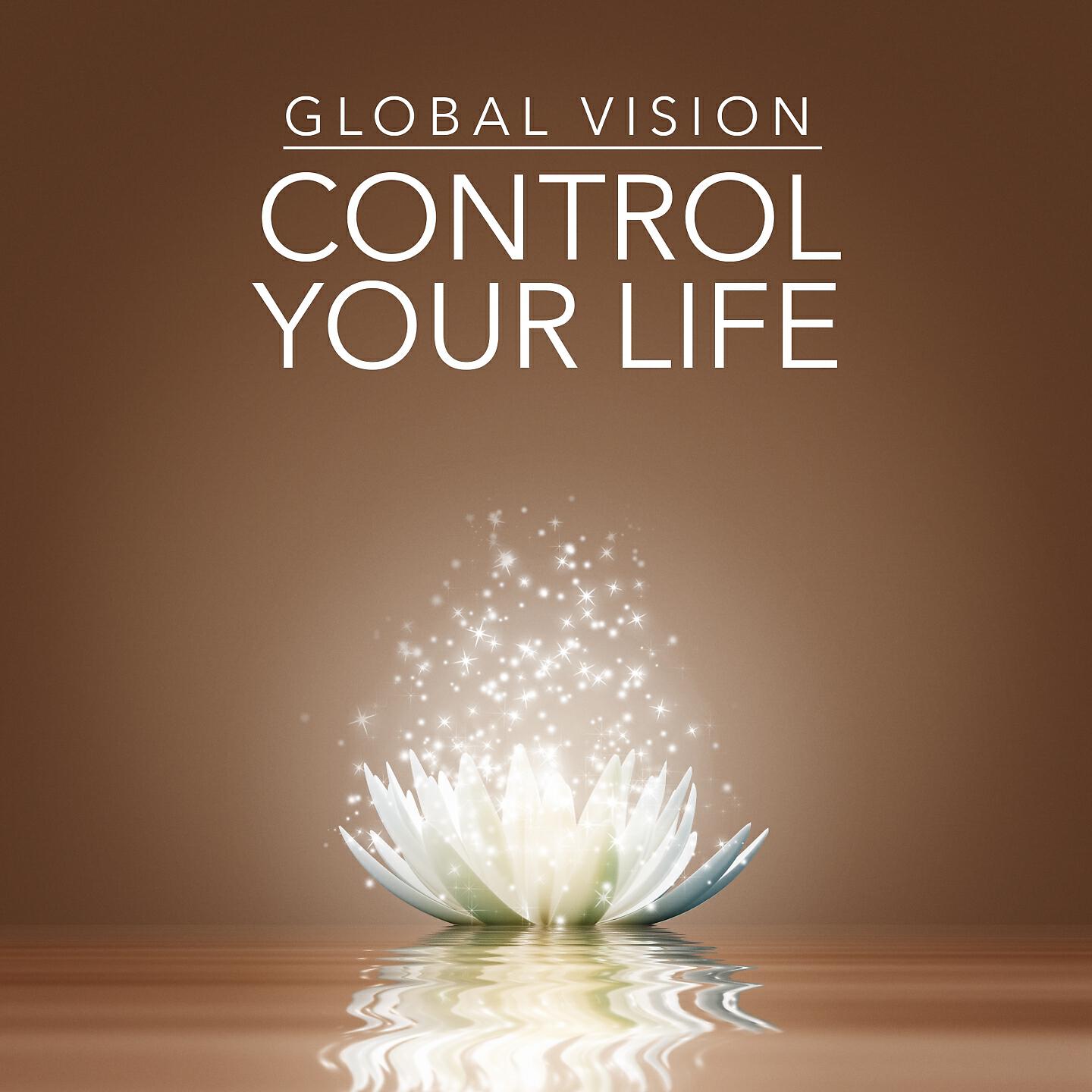 The Global Vision Project - The Brooklet