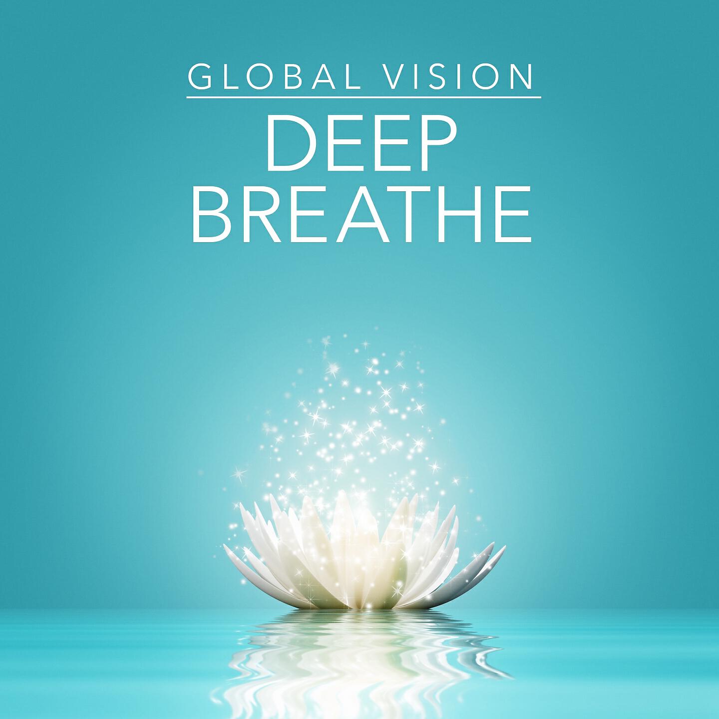 The Global Vision Project - The Cloaked Figure