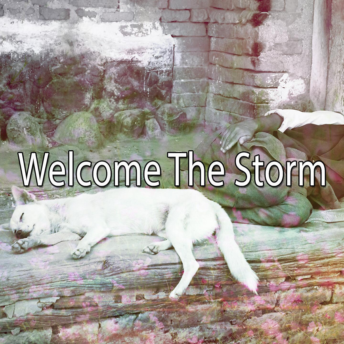 Rain For Deep Sleep - Distant Rumbles