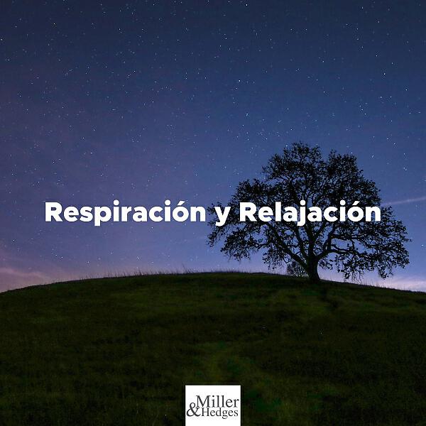 Pilates in Mind - Meditar Y Relajarse