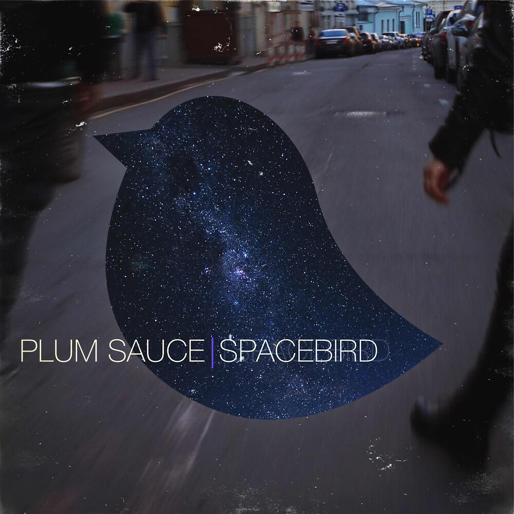 Plum Sauce - Spacebird