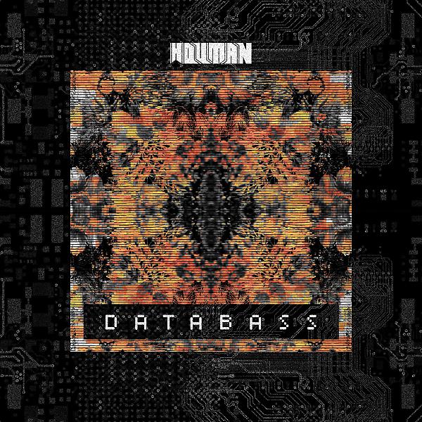 Постер альбома Databass