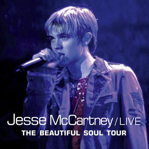 Jesse McCartney - Without U (Live Beautiful Soul Tour)
