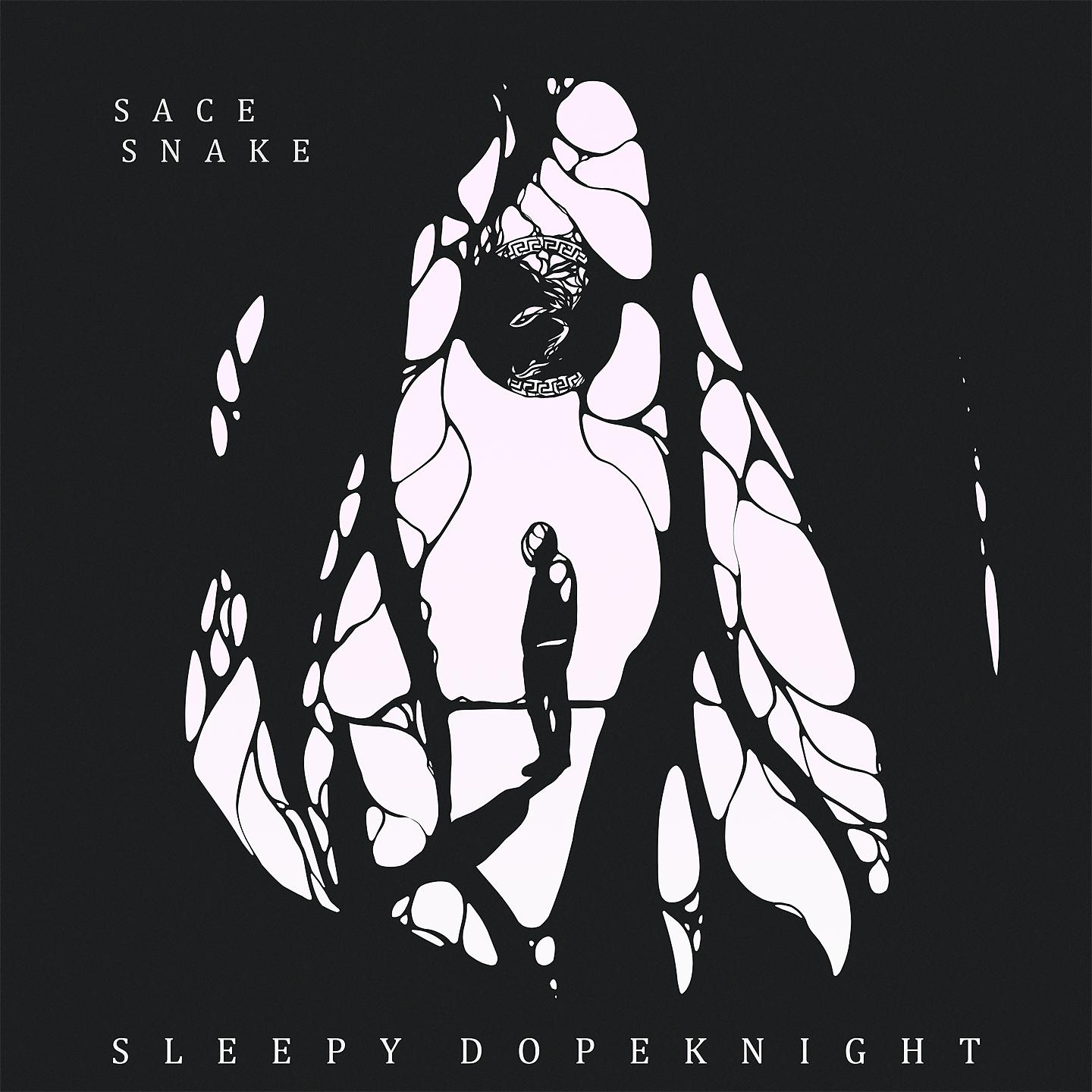 Постер альбома Sleepy Dopeknight