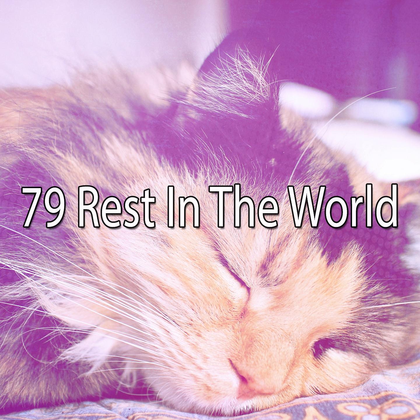 Постер альбома 79 Rest In The World