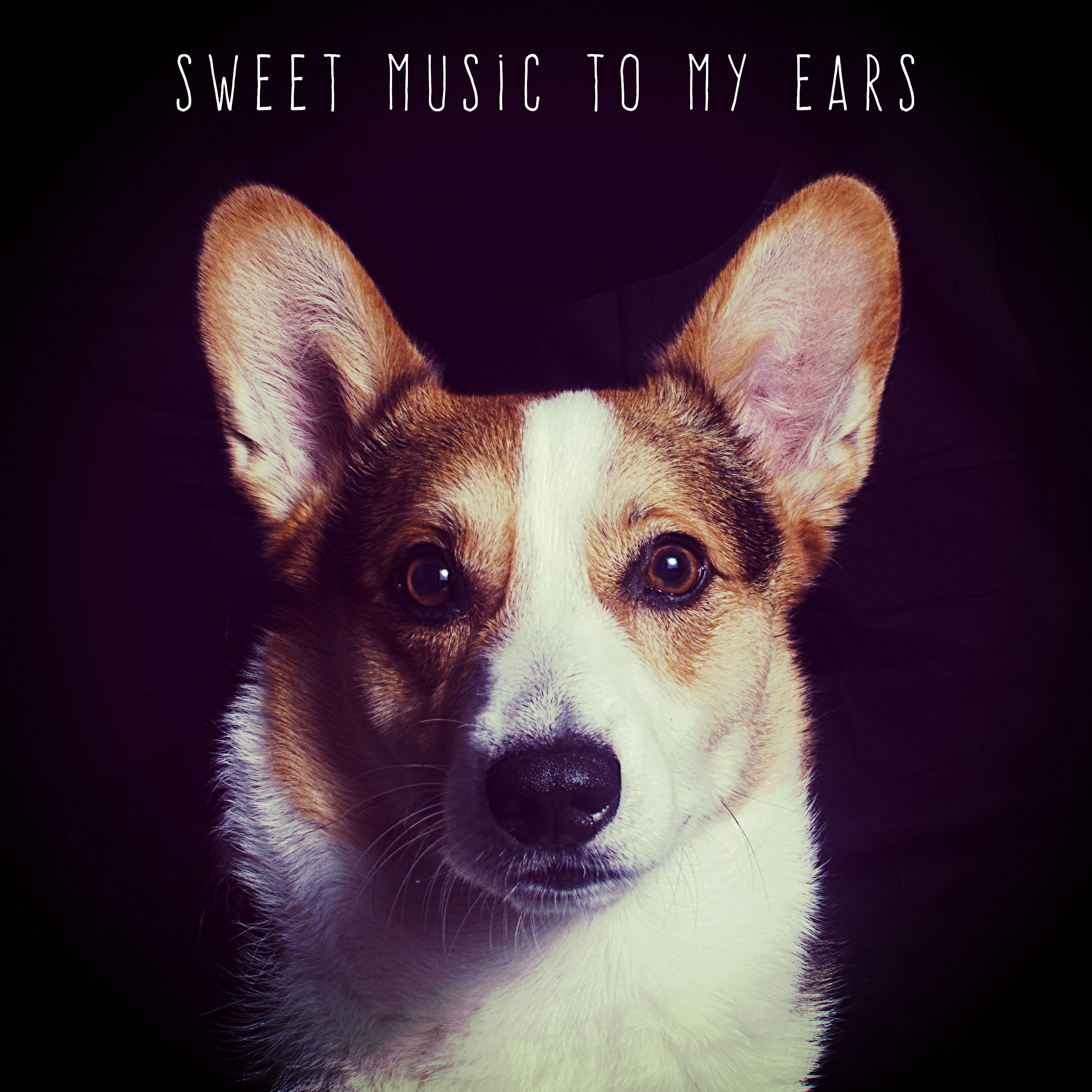 Постер альбома Sweet Music to My Ears