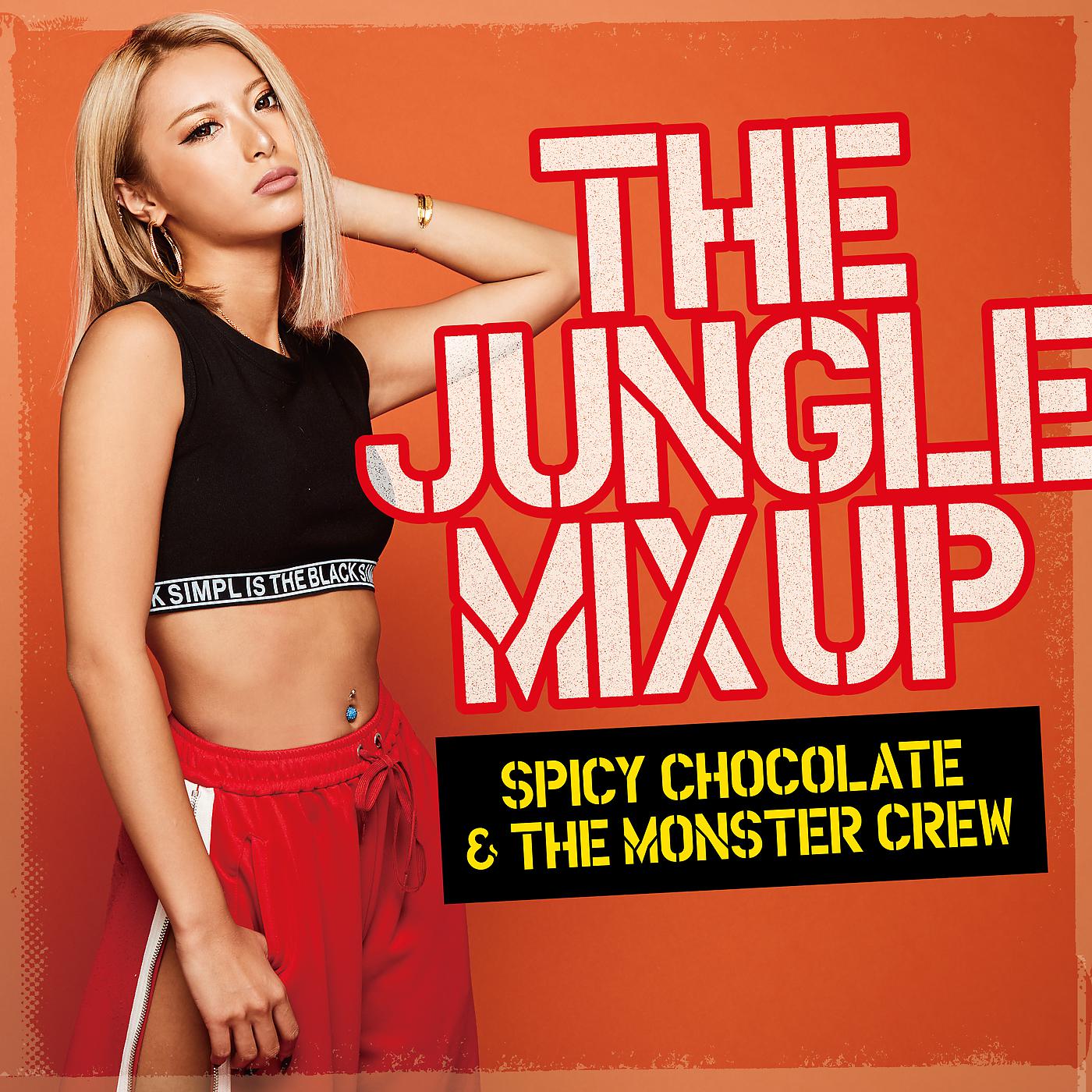 Постер альбома The Jungle Mix Up
