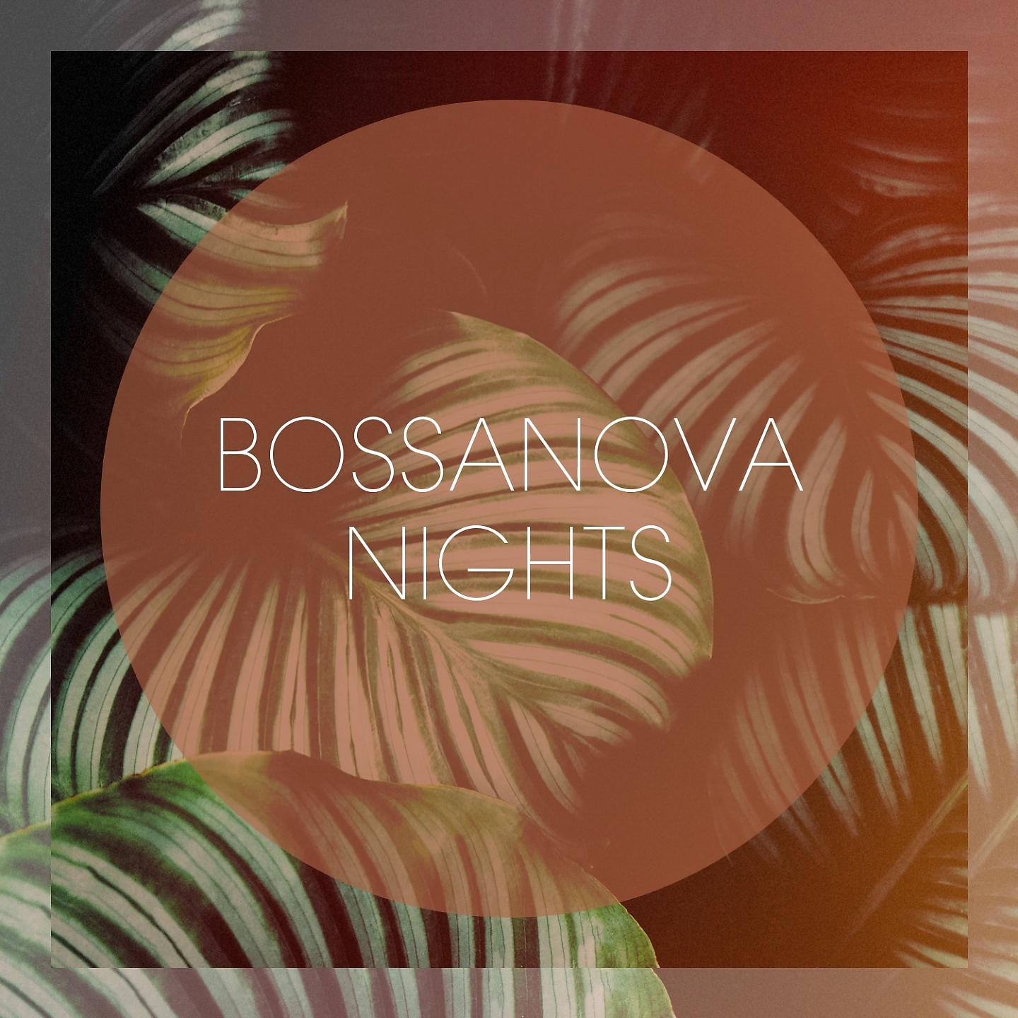 Постер альбома Bossanova Nights
