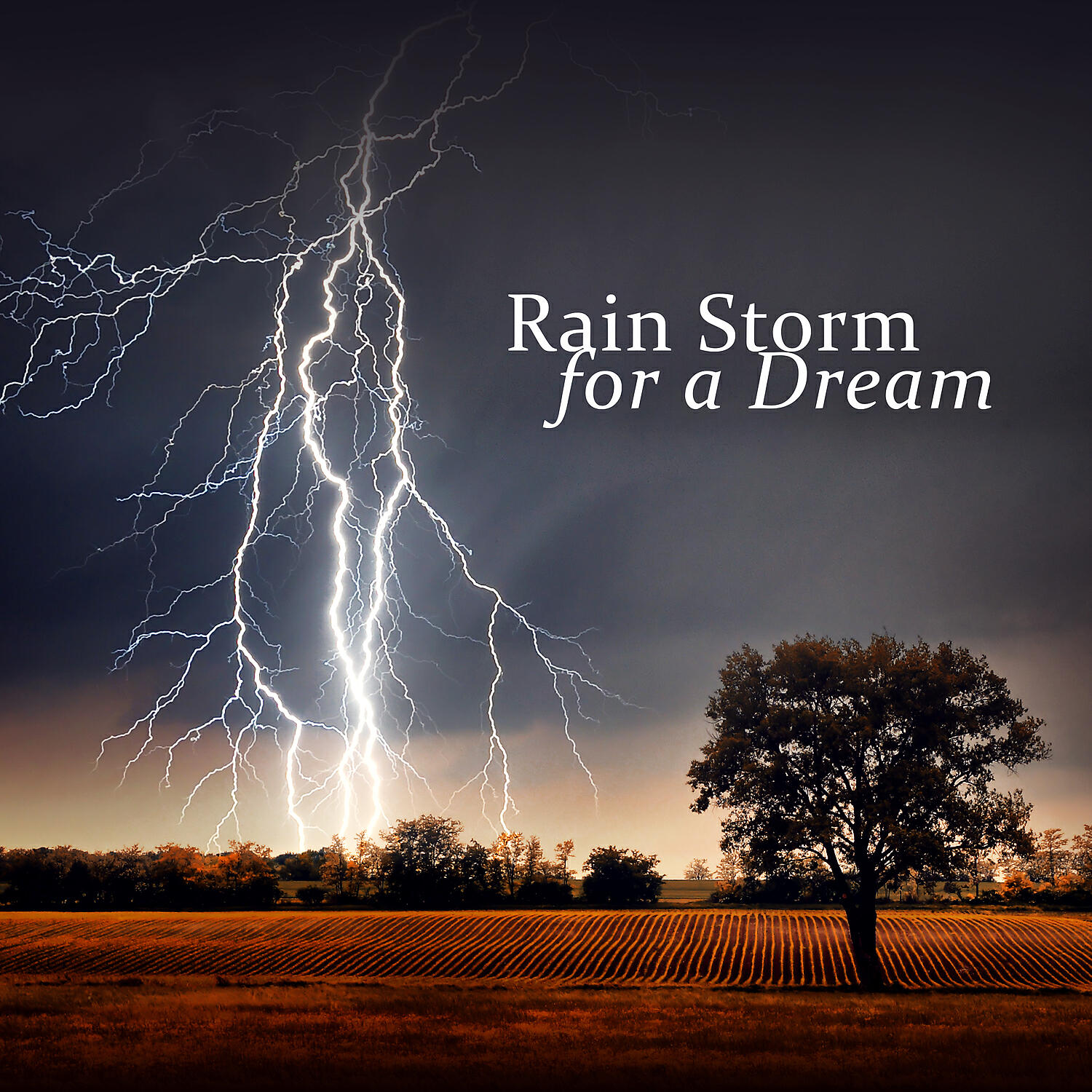 Healing Rain Sound Academy - Rain Drops feat. Relaxation Meditation Songs Divine