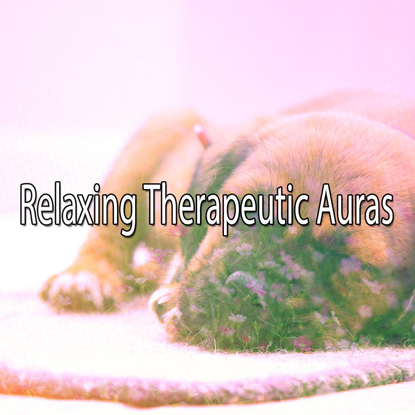 Relaxing Music Therapy - Streaming Gust