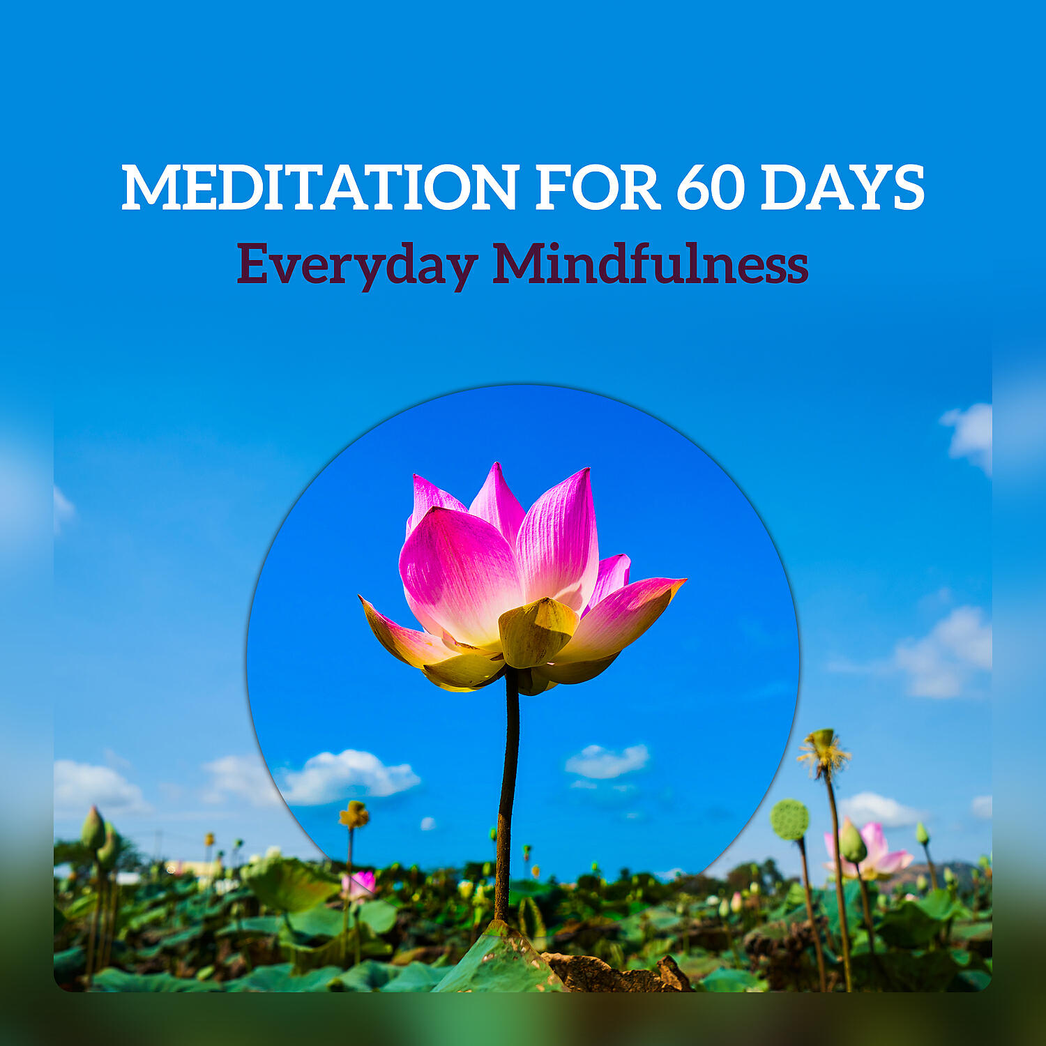 Meditation Music Zone / Calm Music Masters Relaxation - Meditation