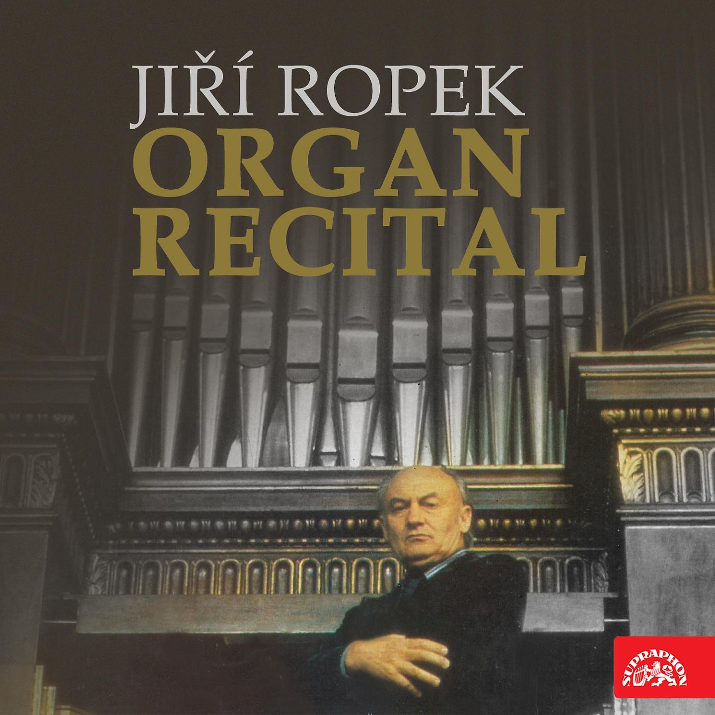 Постер альбома Organ Recital