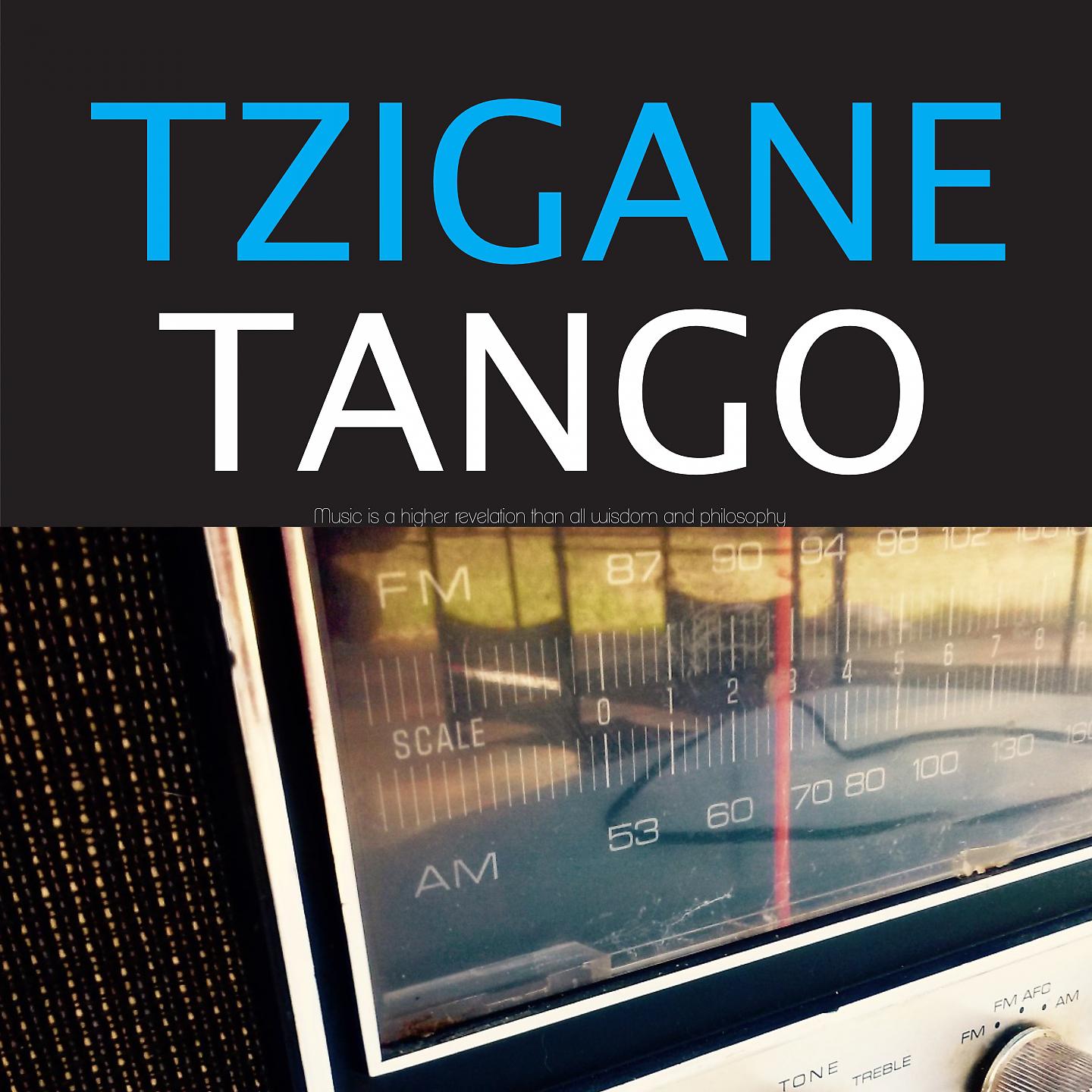 Постер альбома Tzigane Tango