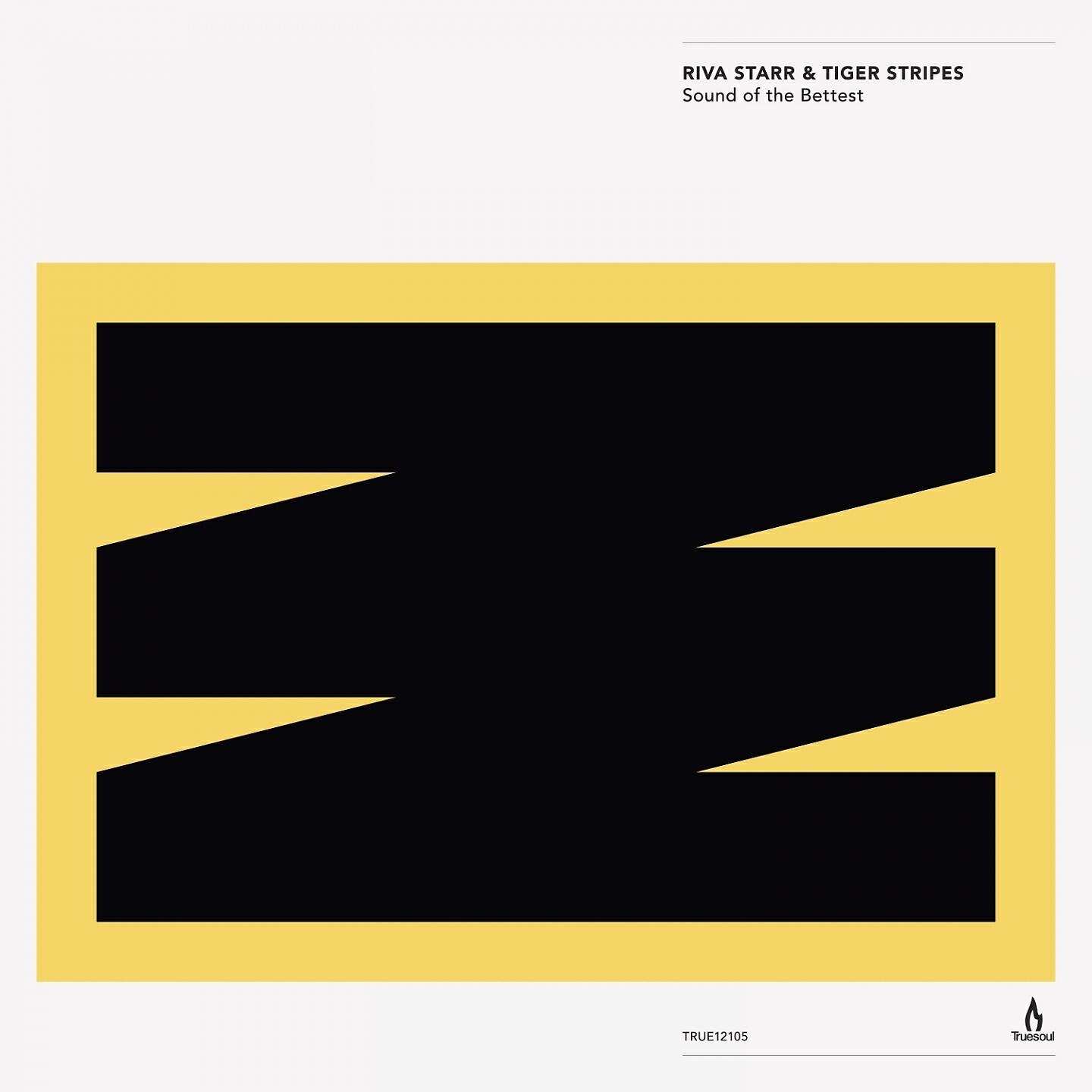 Riva Starr - Move It