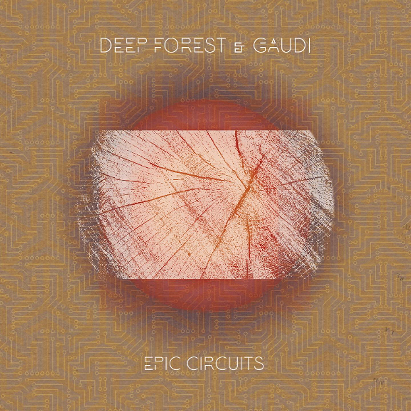 Deep Forest - Love Cymbal