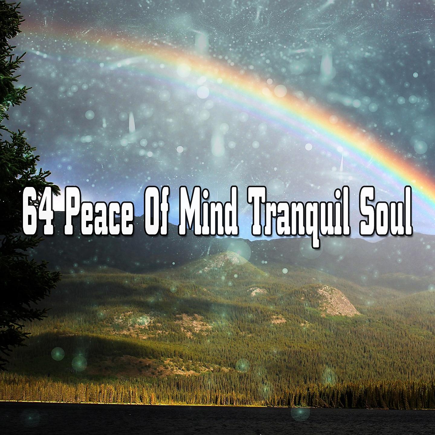Постер альбома 64 Peace Of Mind Tranquil Soul
