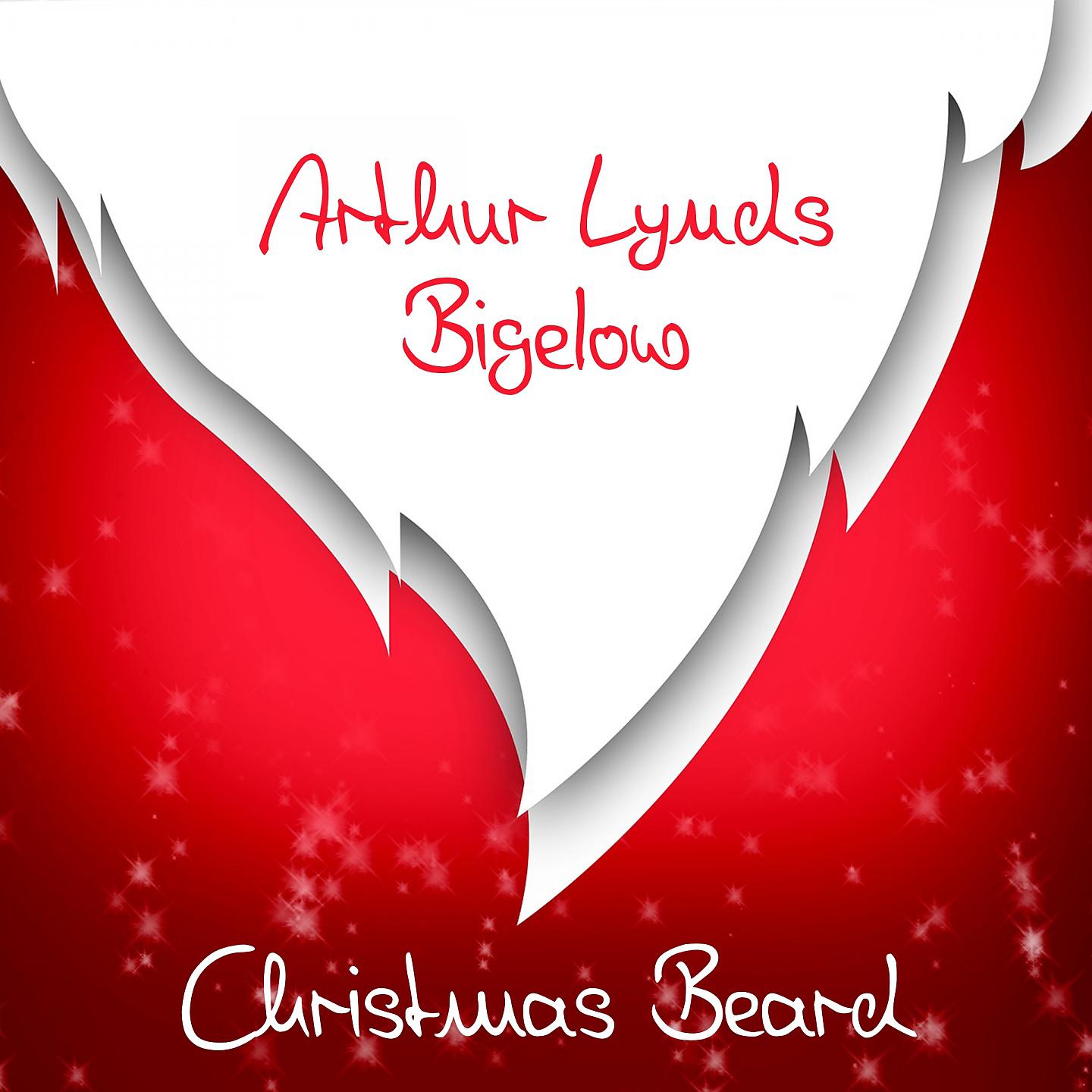 Постер альбома Christmas Beard
