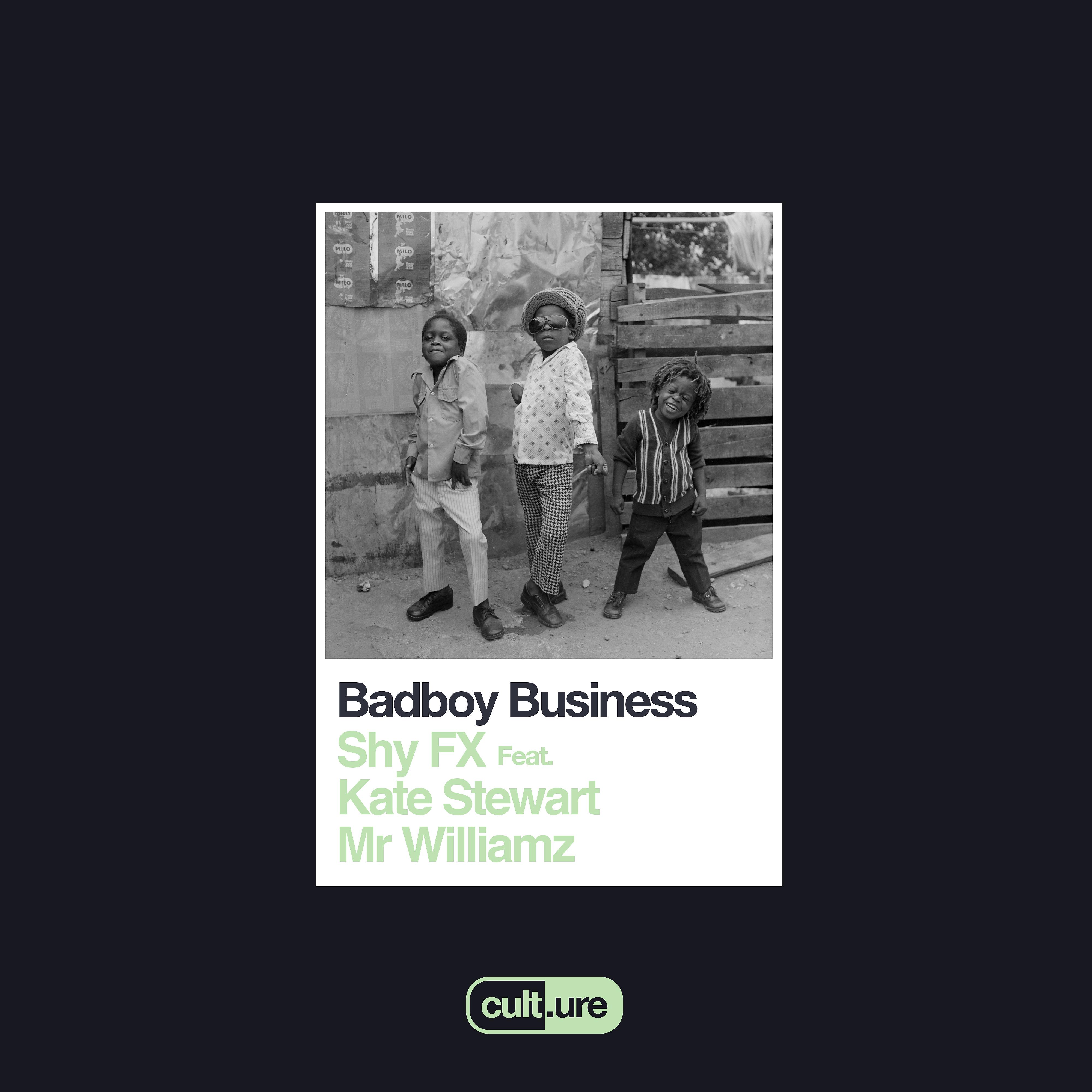 Постер альбома Badboy Business (feat. Kate Stewart and Mr Williamz)