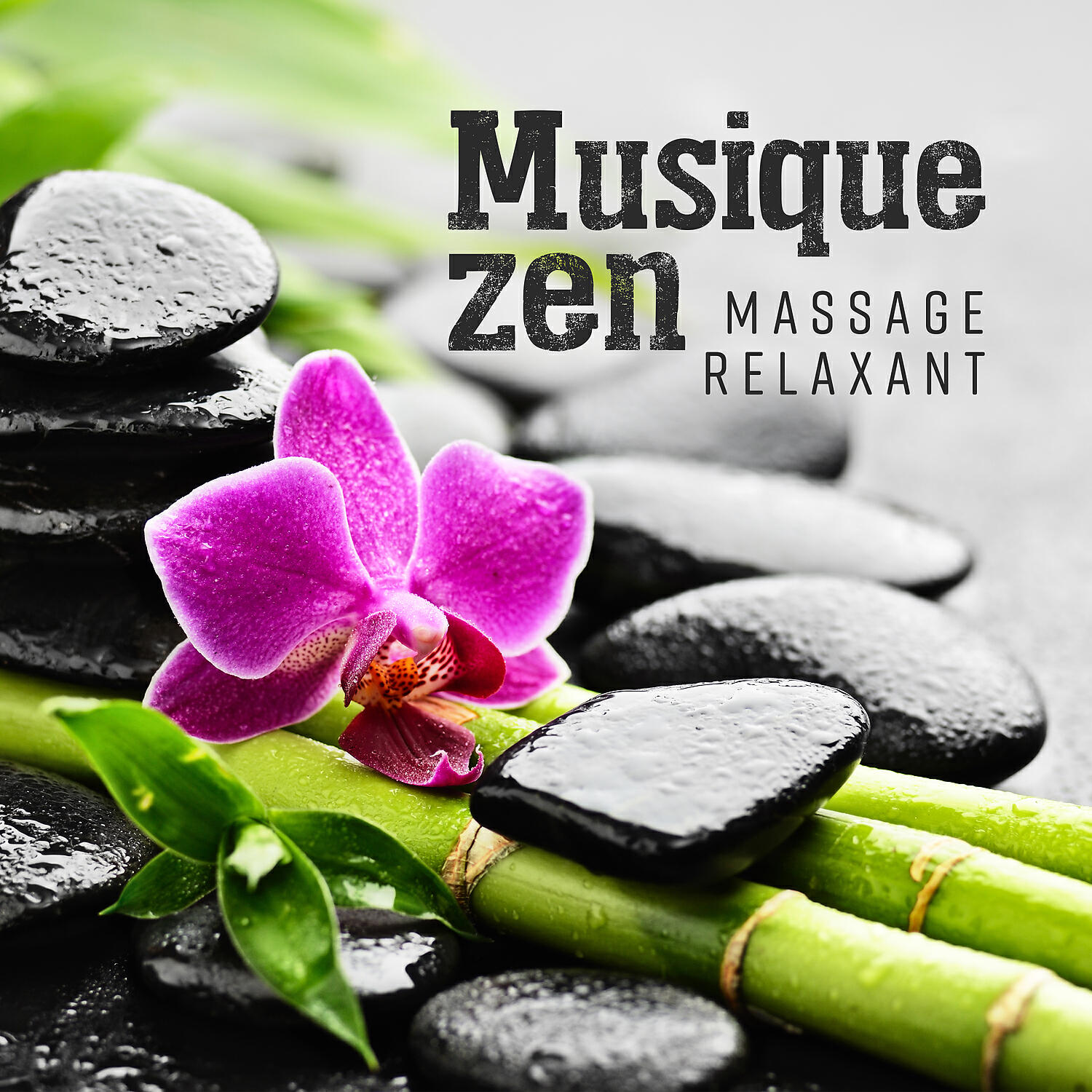 Spa Musique Collection - Spa sérénité feat. Ensemble de Musique Zen Relaxante