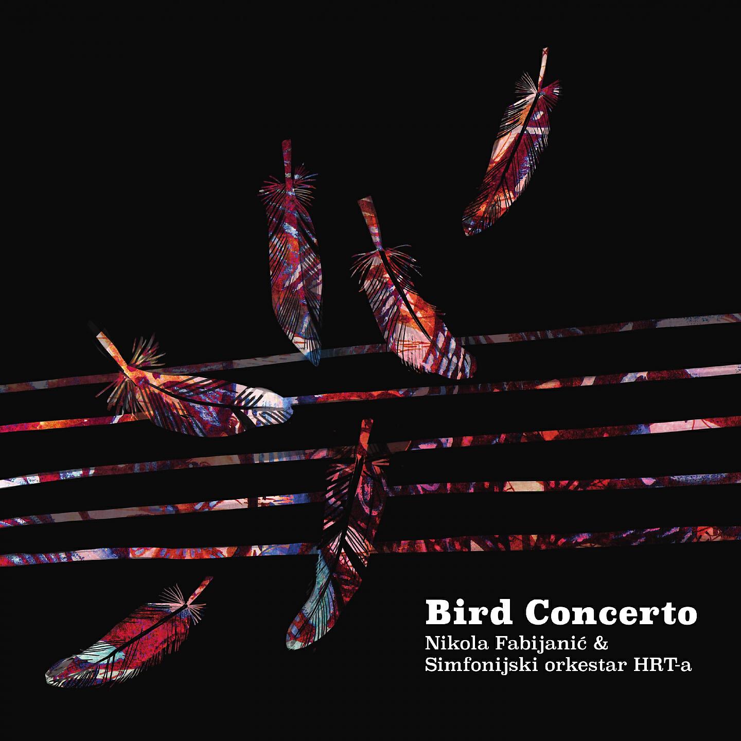 Nikola Fabijanić - Petar Obradović: Bird Concerto: Allegro Con Brio