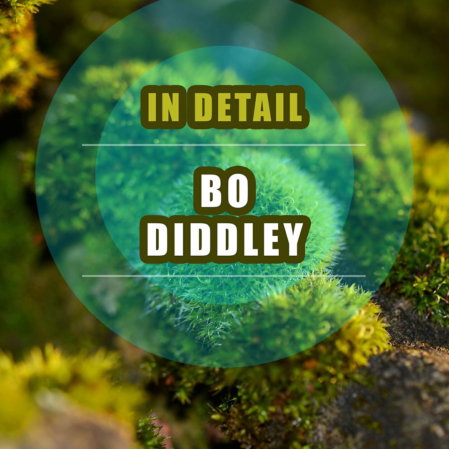 Bo Diddley - What Did I Say