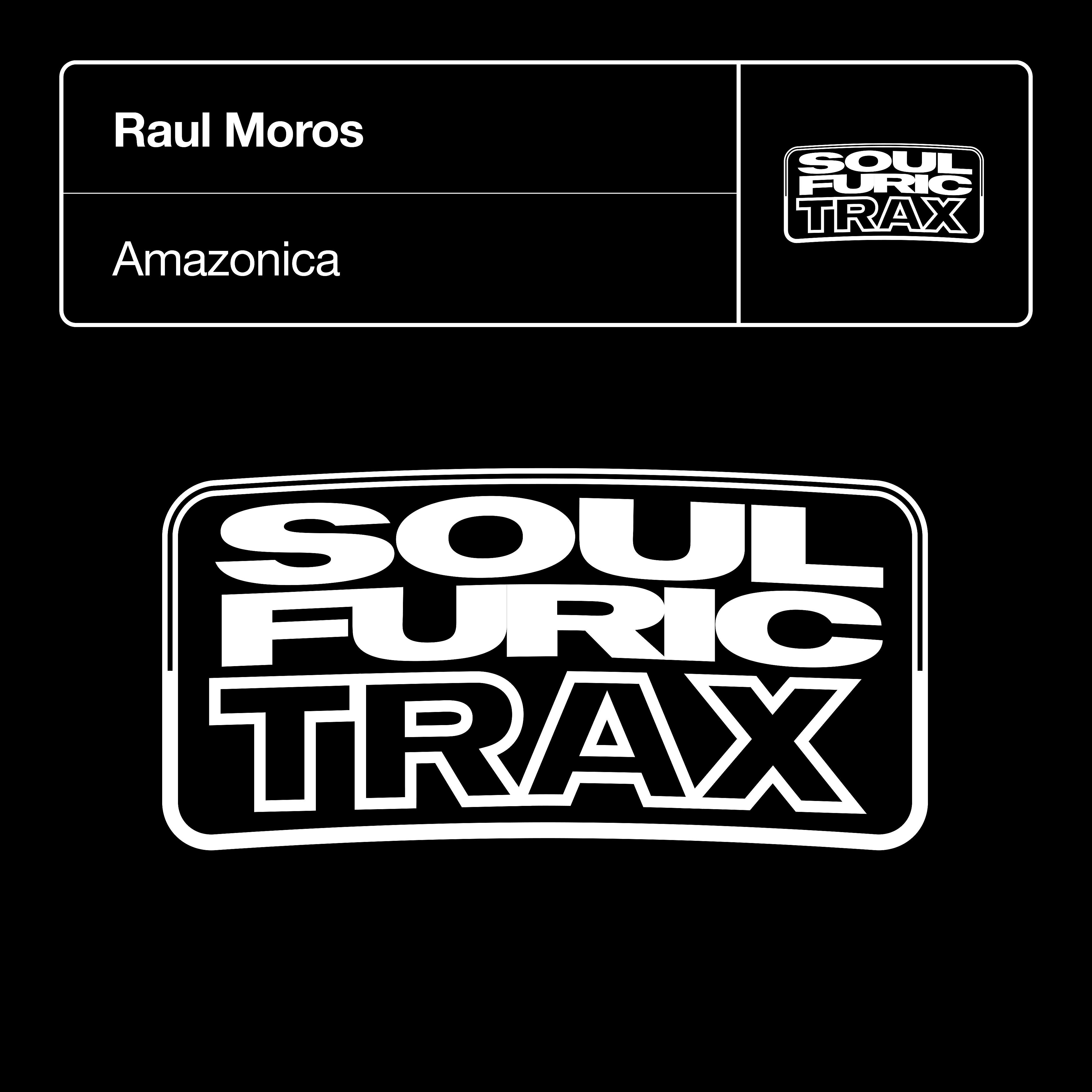 Raul Moros - Amazonica (DJ Jeroenski Remix)