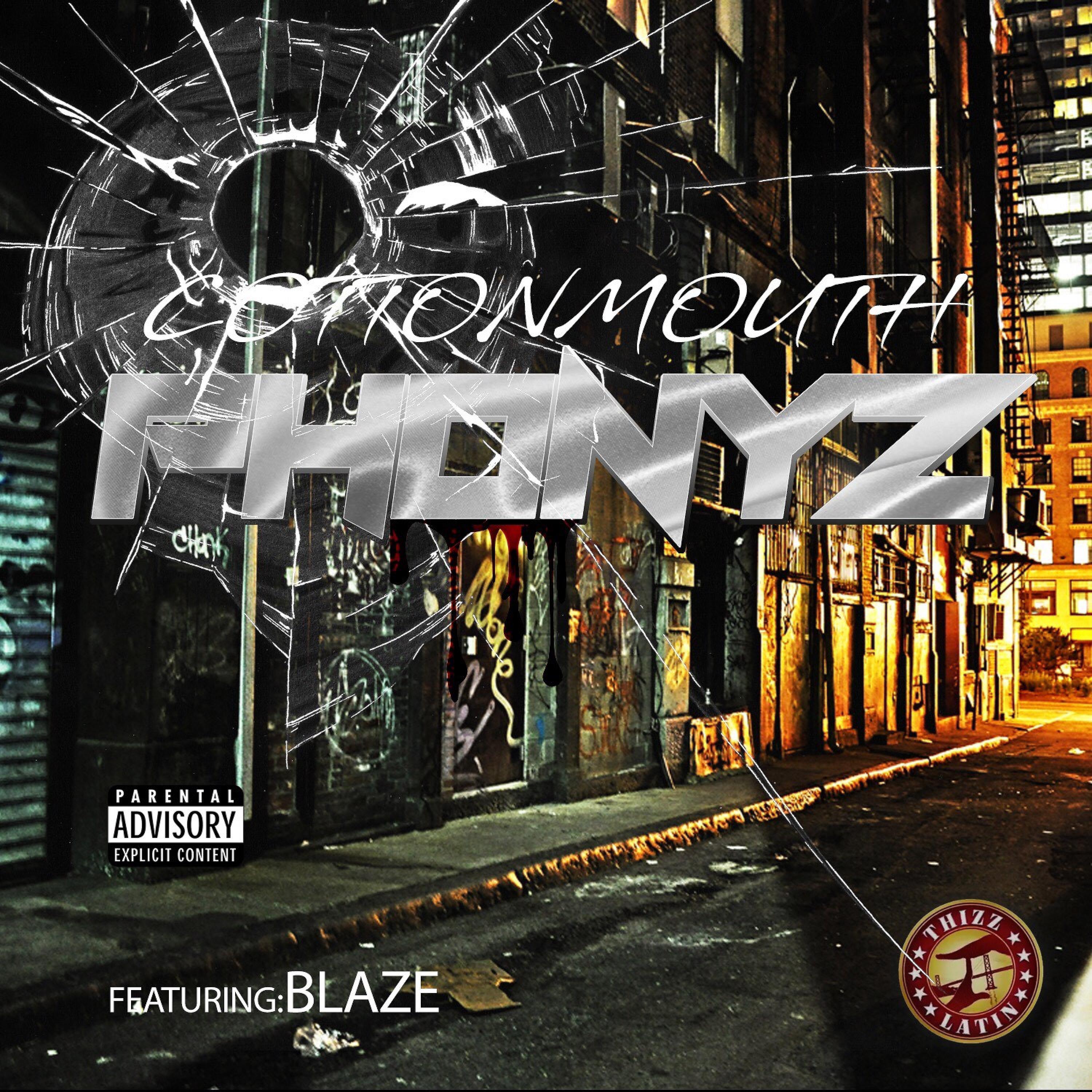 Постер альбома Phonyz (feat. Blaze)