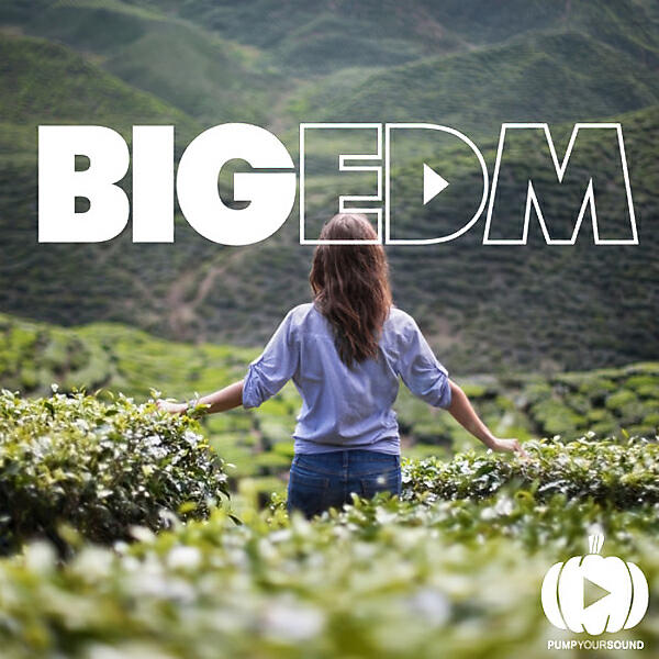EDM Tester - Frank Walker - Toes Feat. Rykka (Original Mix)
