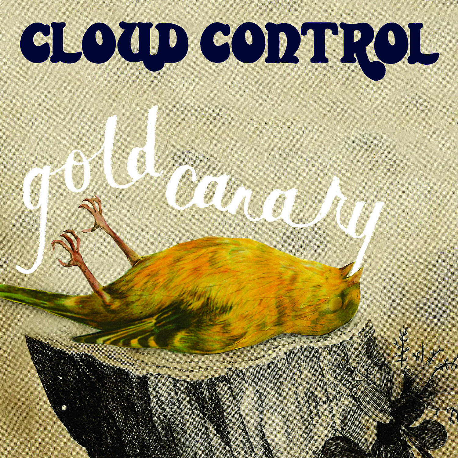 Cloud Control - Gold Canary (Cymbals Remix)