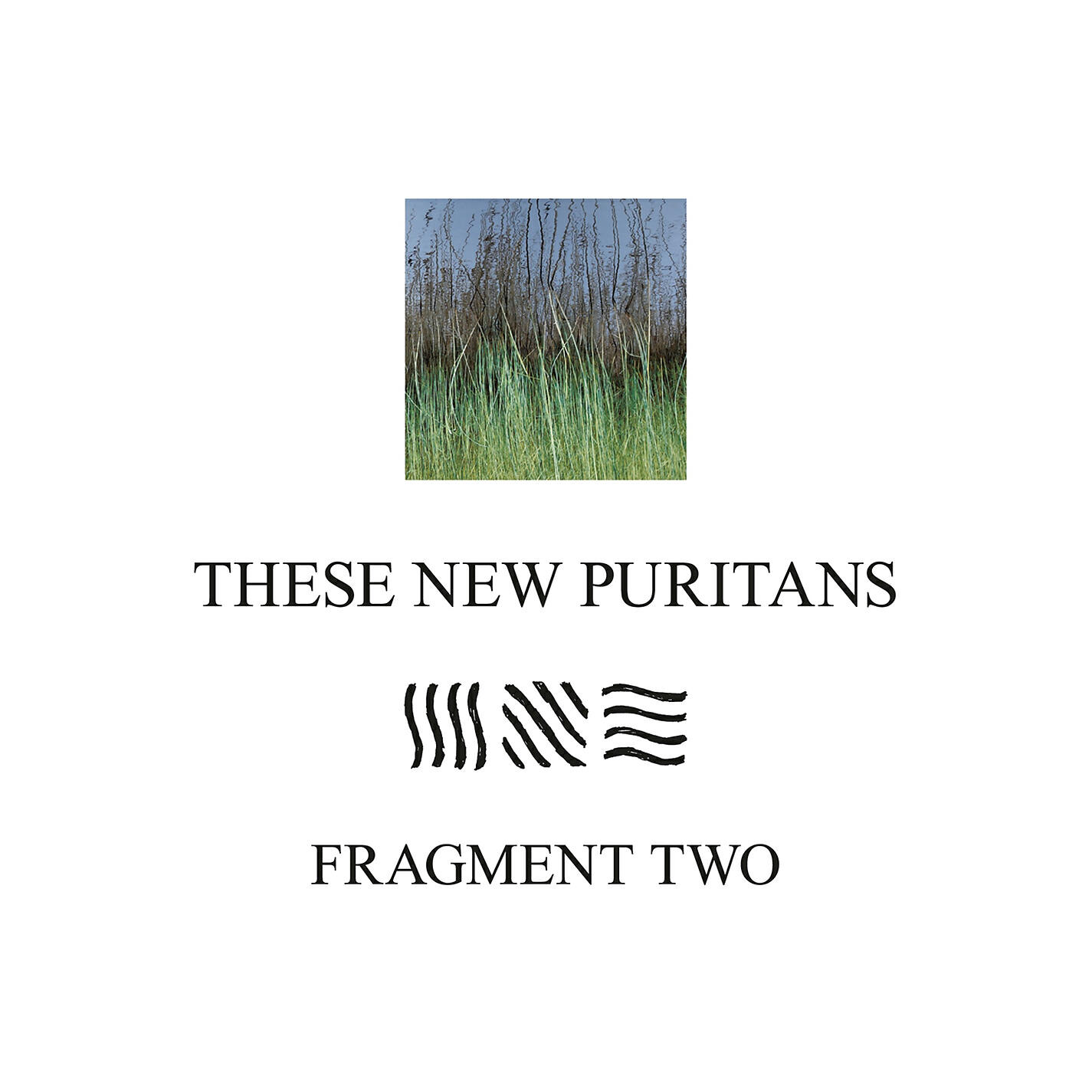 These New Puritans - Fragment Two