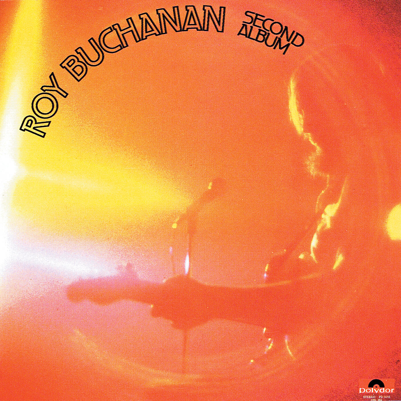 Roy Buchanan - Tribute To Elmore James