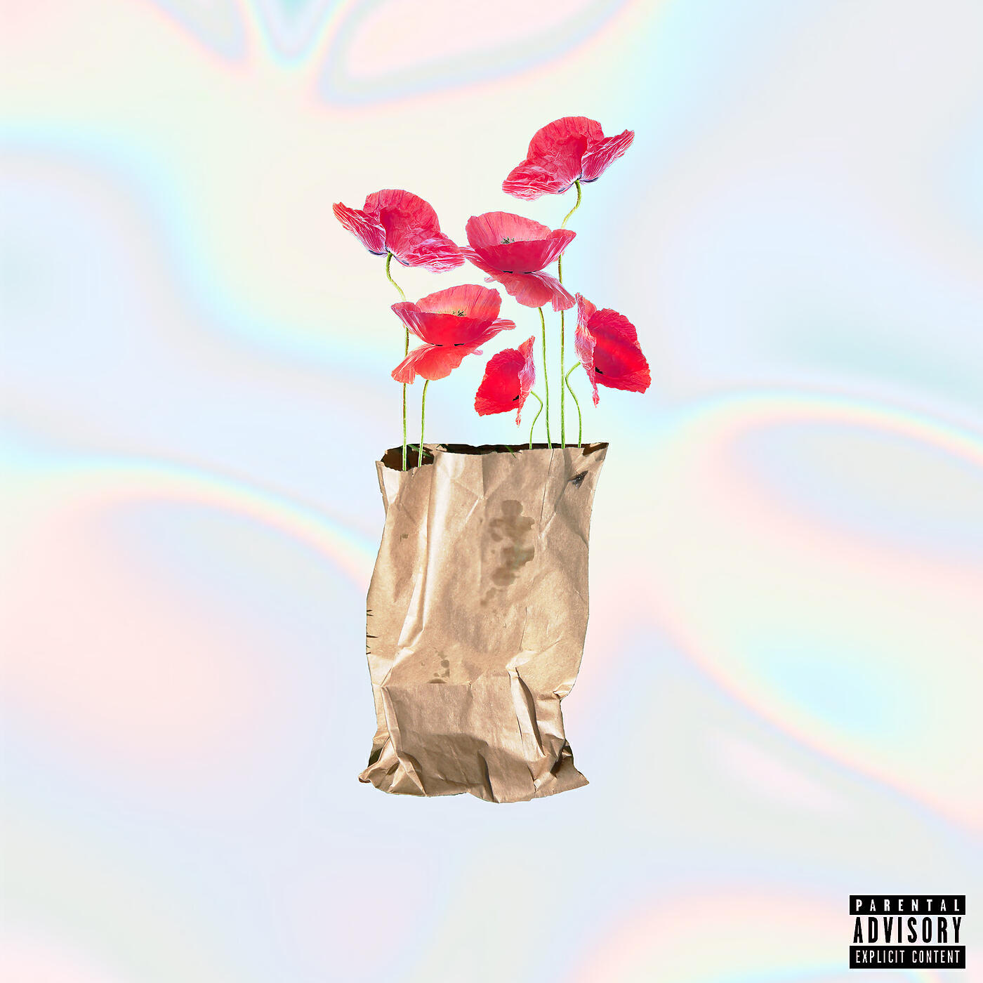 Yoshi Flower - Just Cuz We’re Paranoid Doesn’t Mean They’re Not Onto Us
