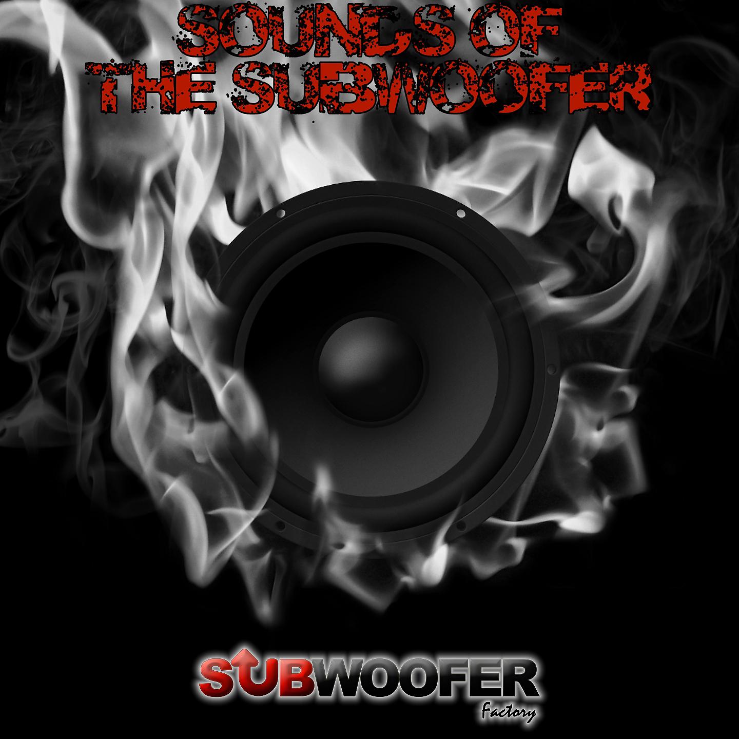 Постер альбома Sounds Of The Subwoofer