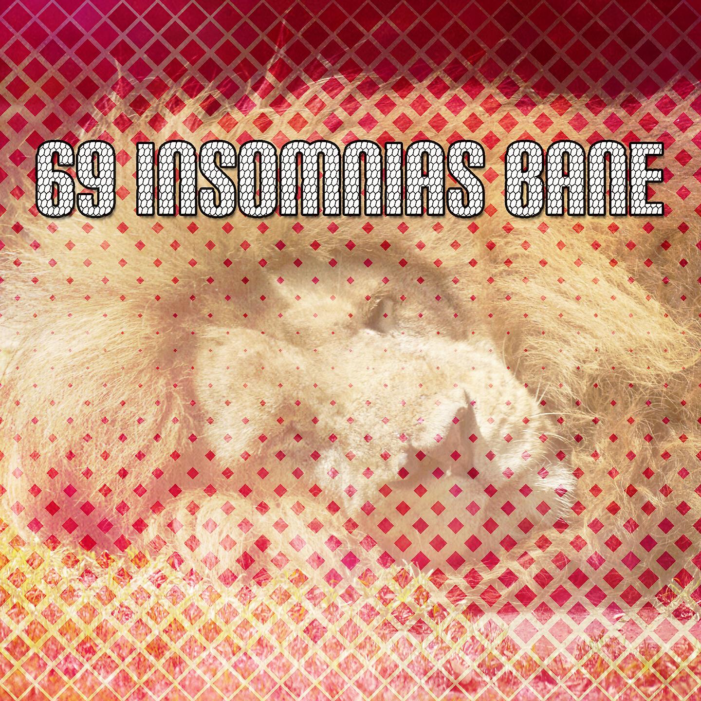 Baby Sweet Dream - Streaming Gust