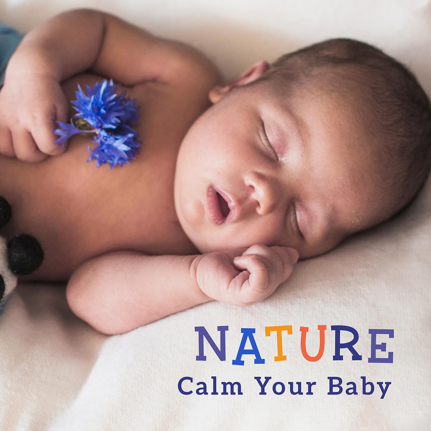 Постер альбома Nature - Calm Your Baby: The Way to Calm Crying and Help Your Newborn Baby Sleep