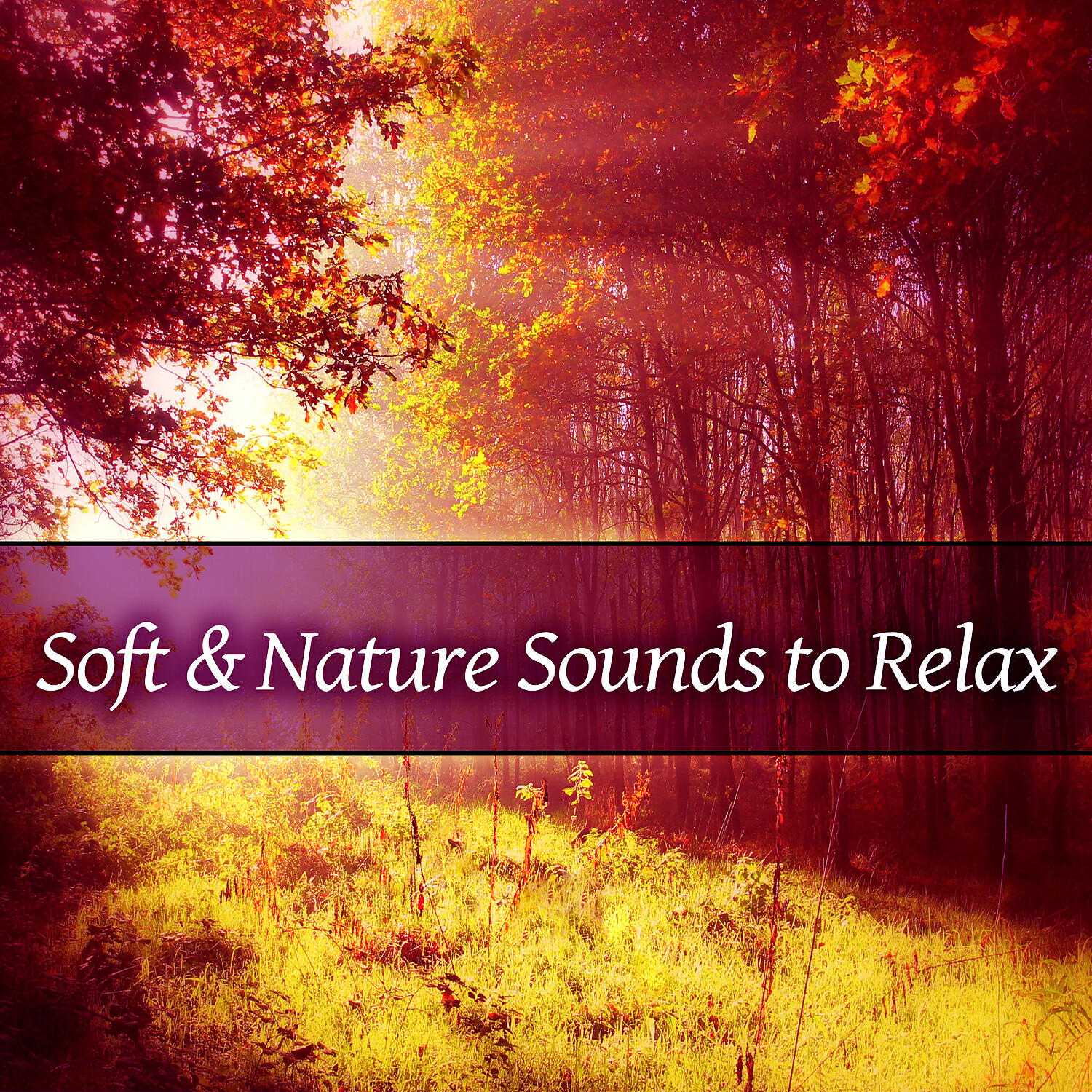 Keep Calm Music Collection - Chocolate Massage