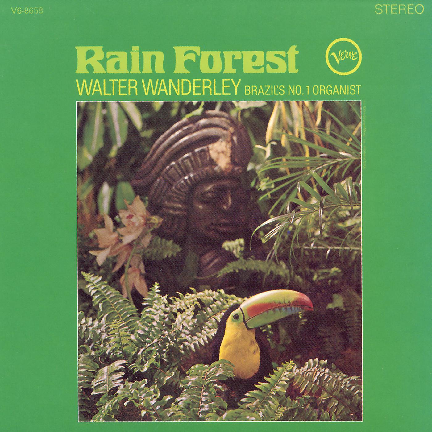 Постер альбома Rain Forest