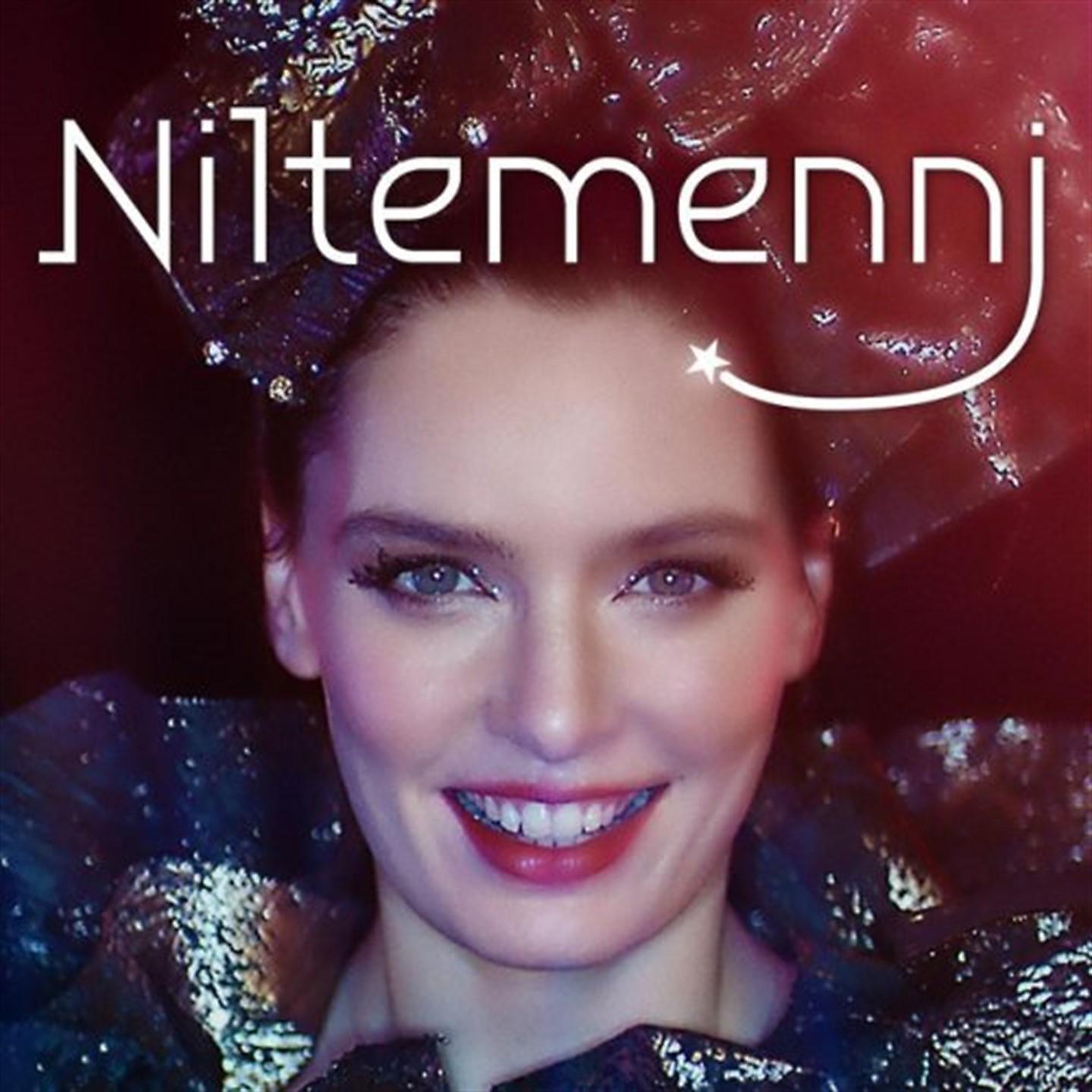Постер альбома Niltemenni