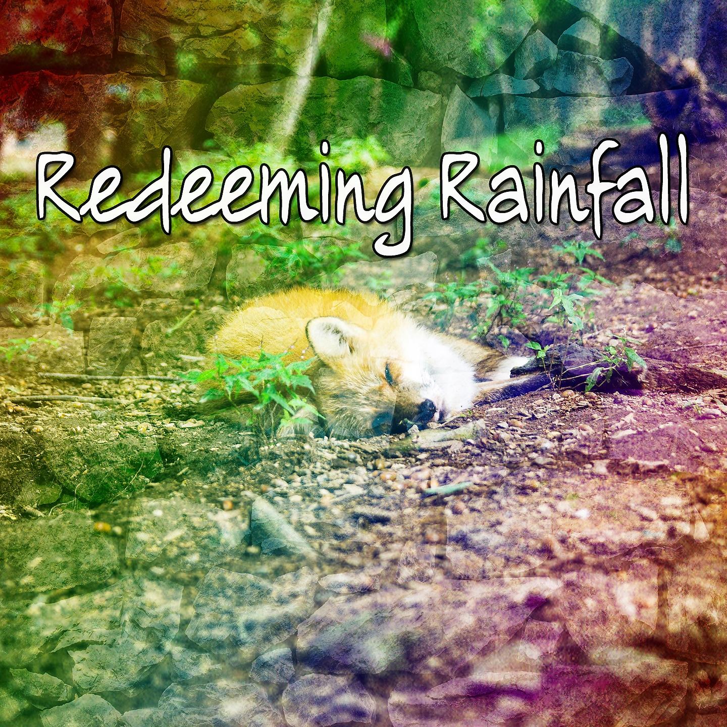 Постер альбома Redeeming Rainfall