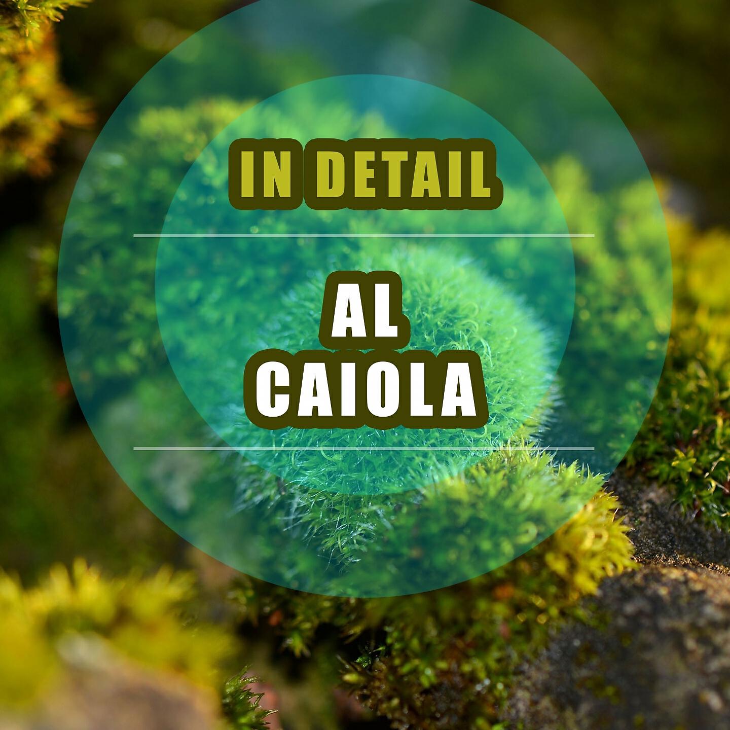 Al Caiola - The Magnificent Seven