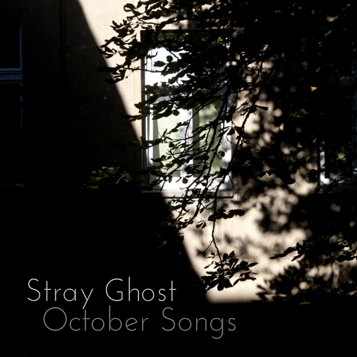 Stray Ghost - Tibilisi in Tears