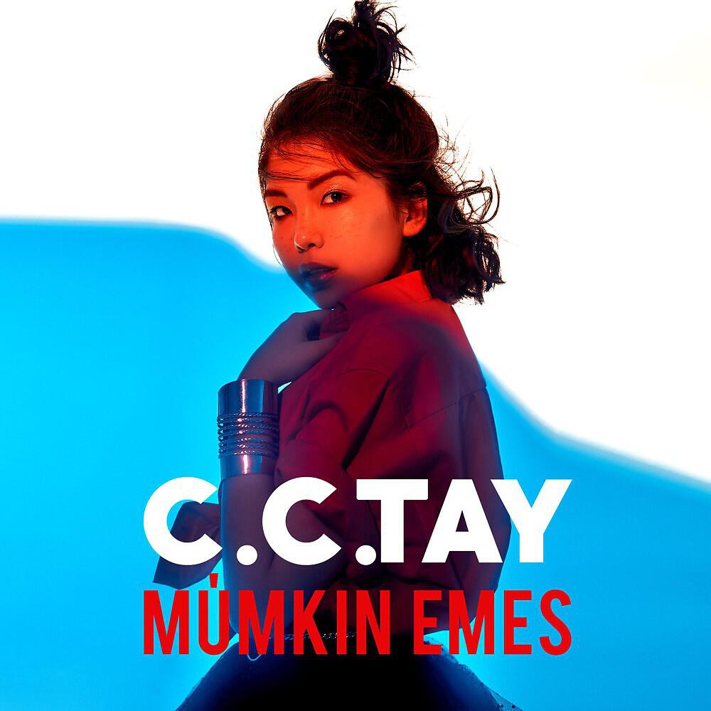 C.C.TAY - Mumkin emes