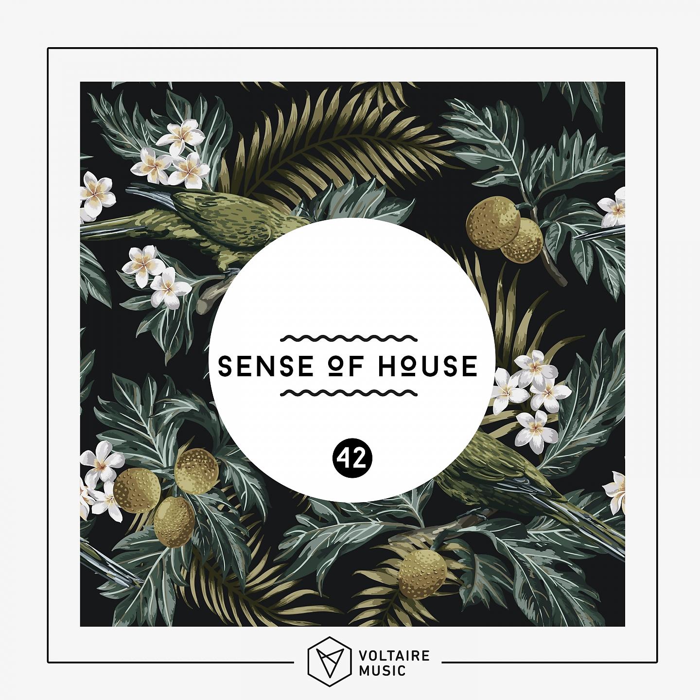 Постер альбома Sense Of House, Vol. 42