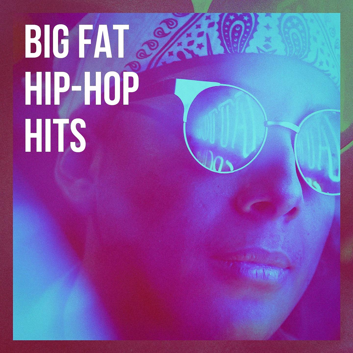 Постер альбома Big Fat Hip-Hop Hits