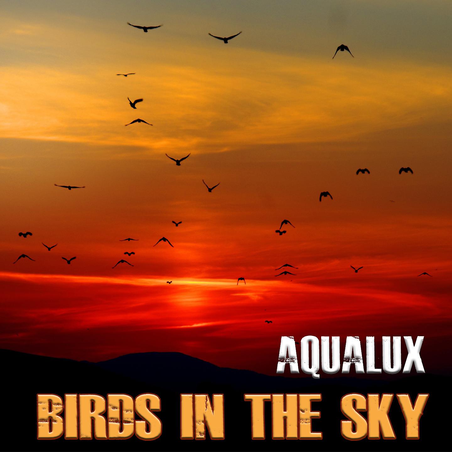 Постер альбома Birds In The Sky