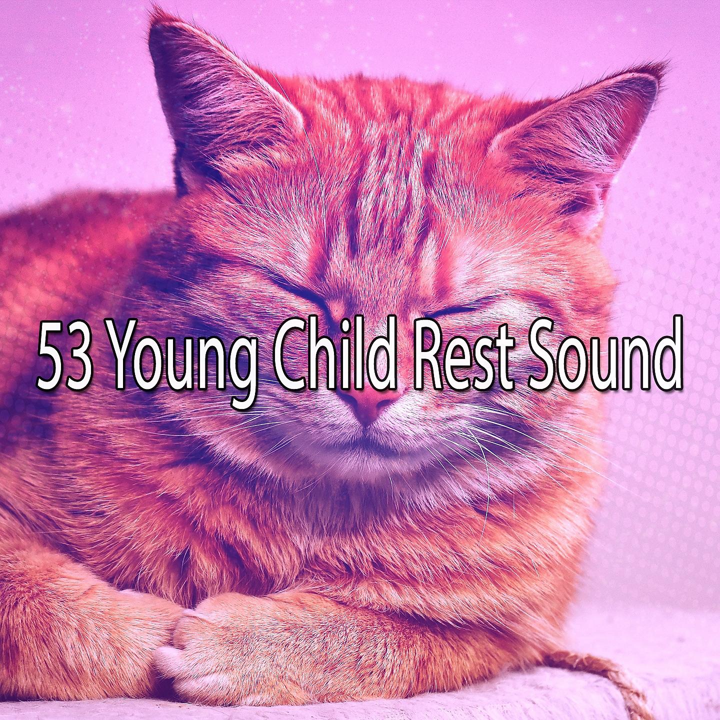 Постер альбома 53 Young Child Rest Sound