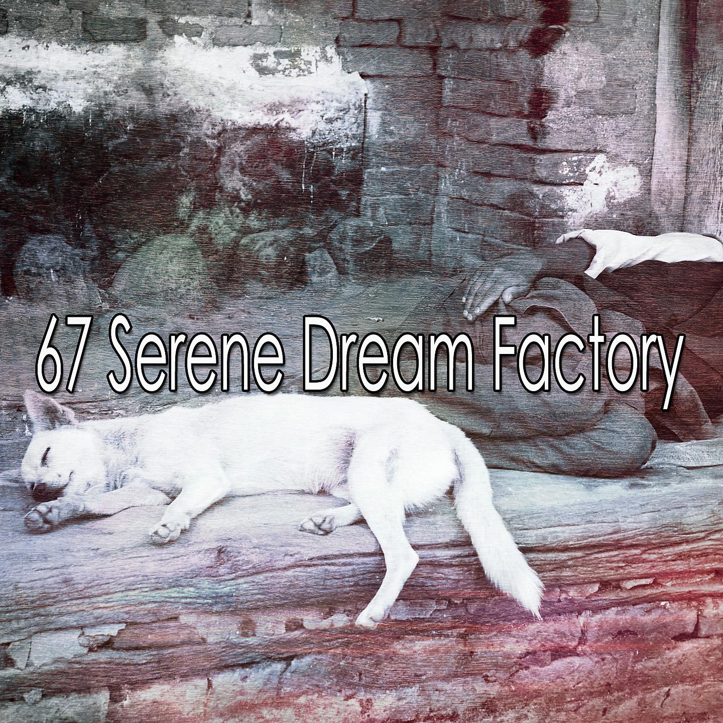 Постер альбома 67 Serene Dream Factory