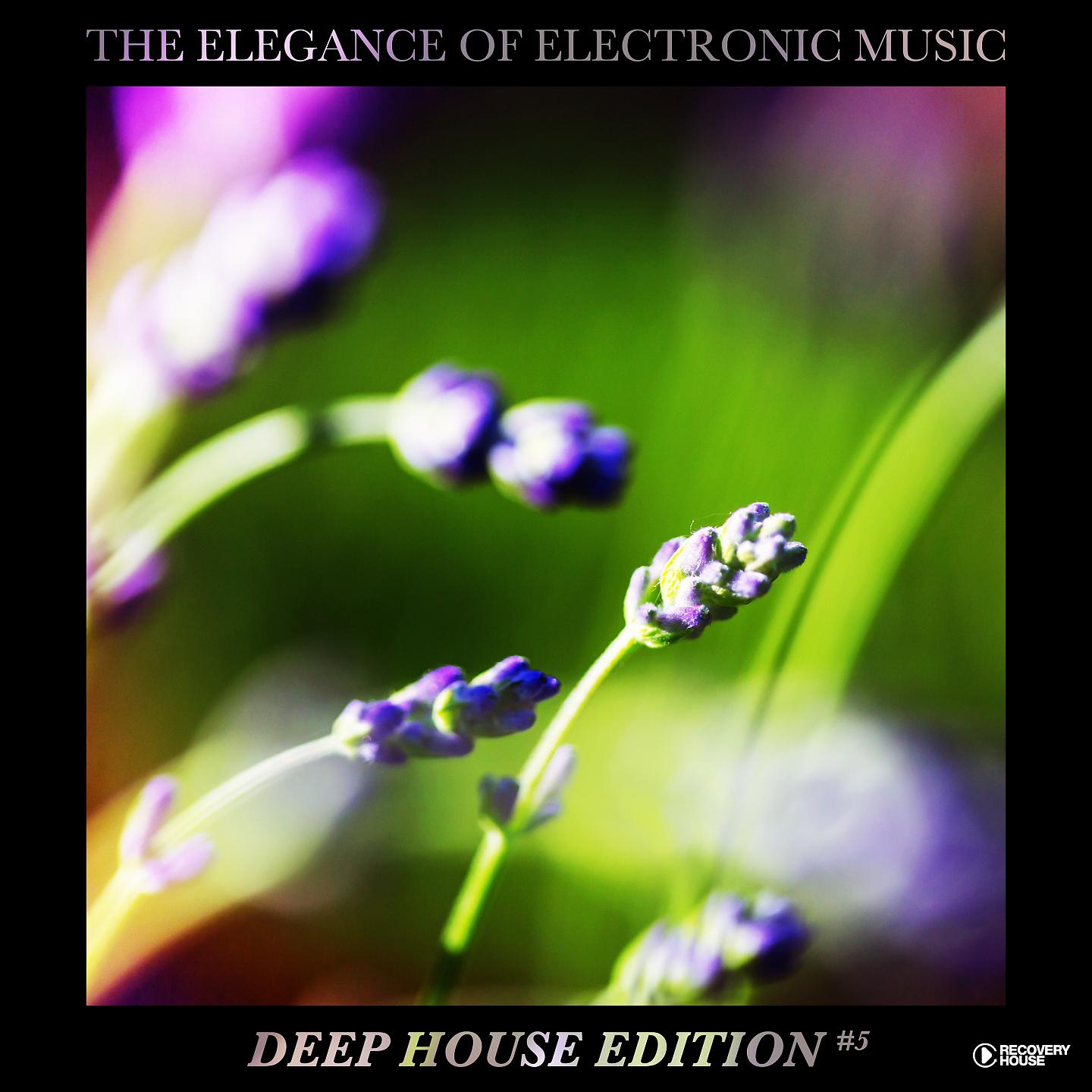 Постер альбома The Elegance of Electronic Music - Deep House Edition #5