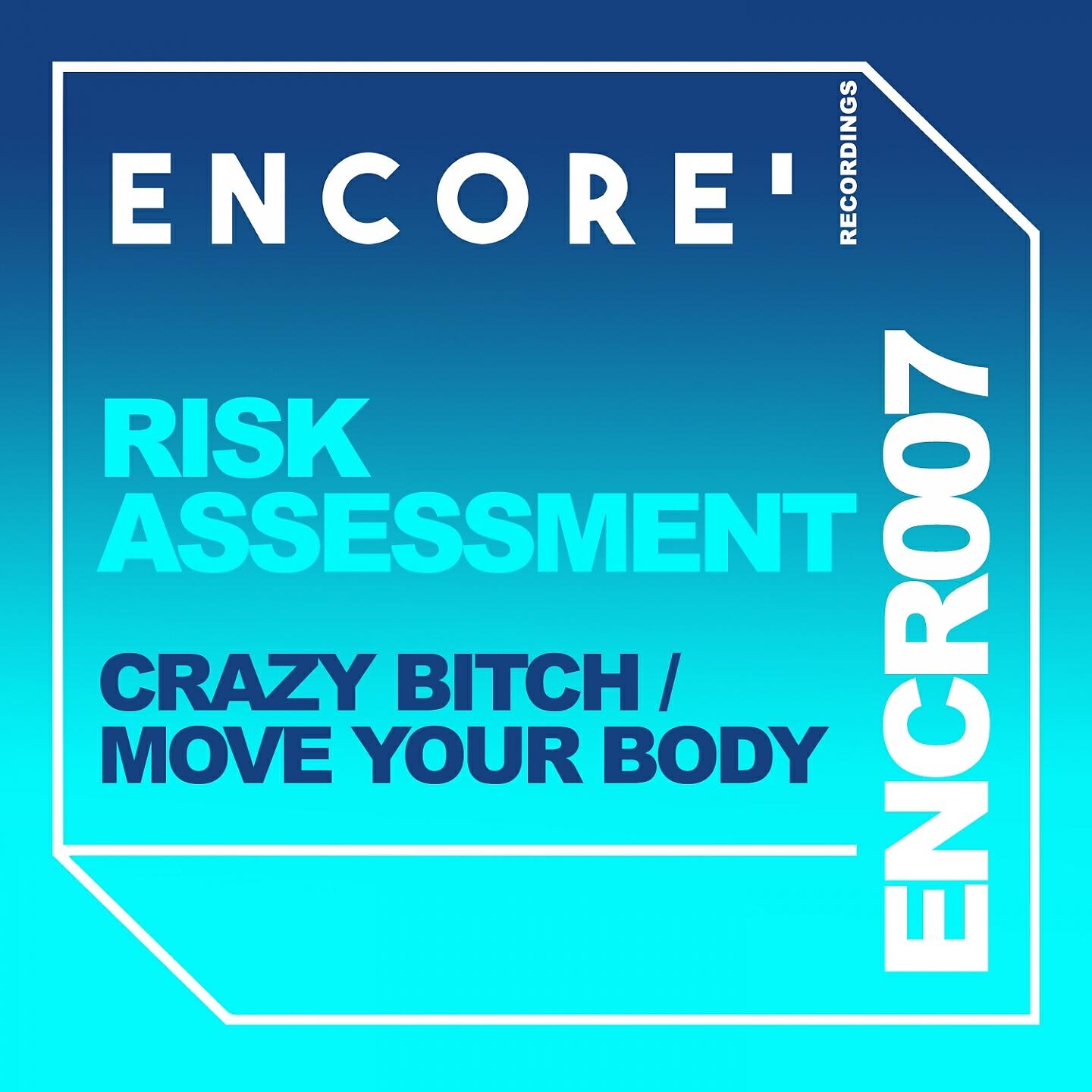 Risk Assessment - Crazy Bitch