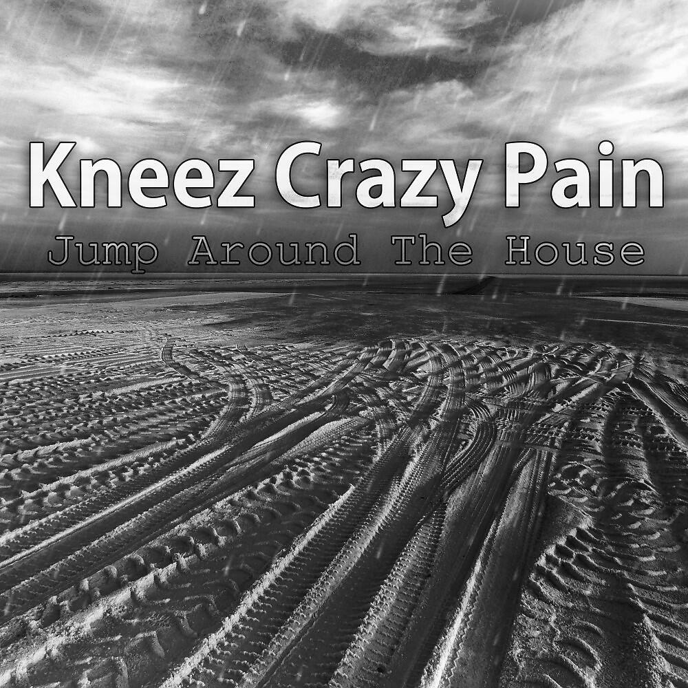 Kneez Crazy Pain - Fellow Drake (Hip Hop Instrumental Extended Mix)
